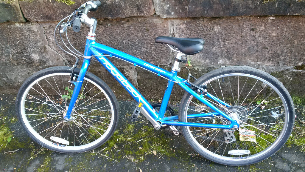 ridgeback dimension 24